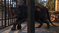 El Rubio's panther (Image via GTA Wiki)
